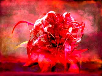 2019-09-25 Indianernessel 05-04 80x60cm Tinte auf Hahnemühlepapier